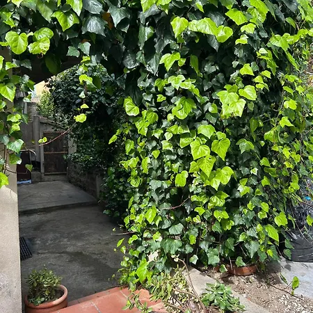 Sa Murtya Casa 펜션 Viddalba